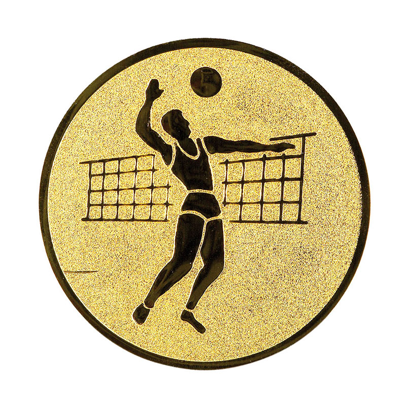 Vector PNG Sport Volleyball